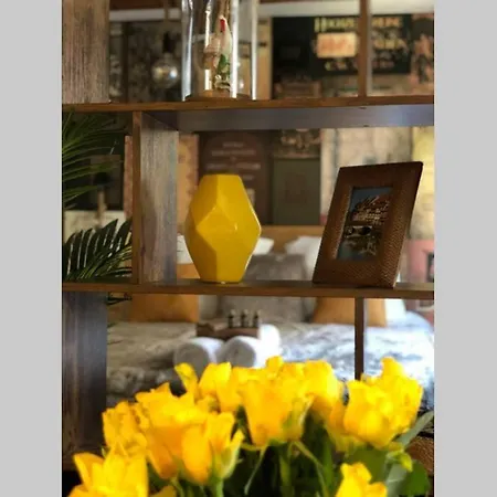 Un Petit Vintage à Appartement