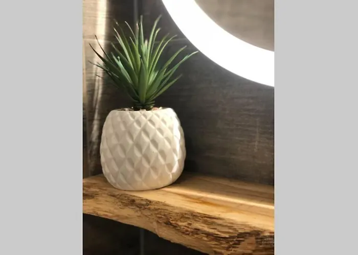 Apartment Un Petit Vintage A Colmar